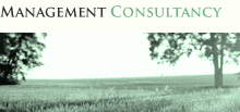 management consultancy