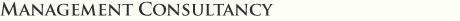 management consultancy 